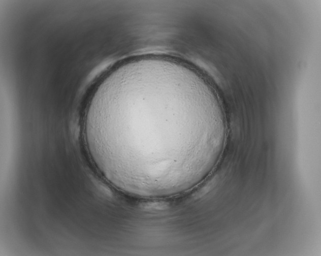X0000110761406200906291019