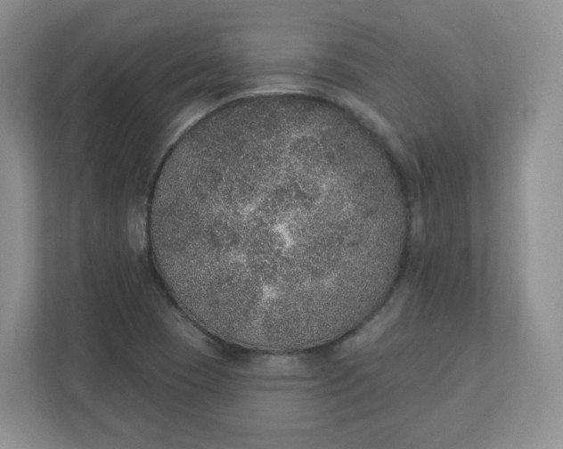 X0000110761409200906291019