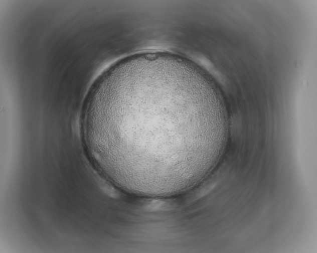 X0000110761412200906291019