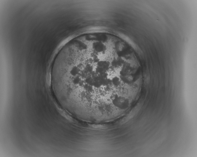 X0000110761413200906291019