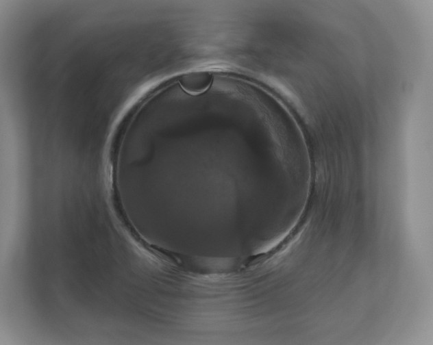 X0000110761414200906291019