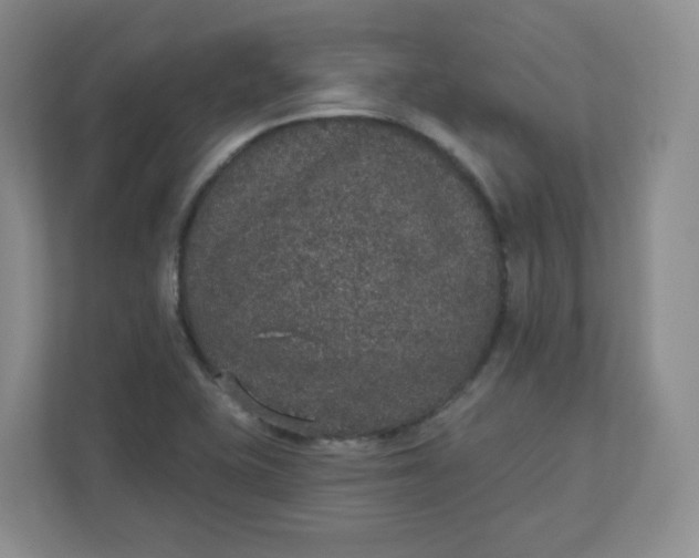 X0000110761415200906291019