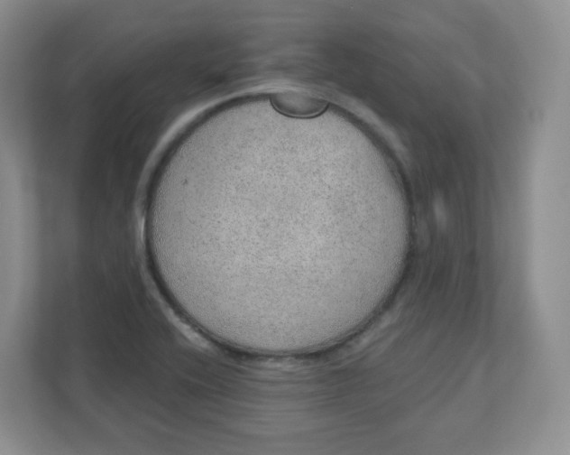 X0000110761416200906291019