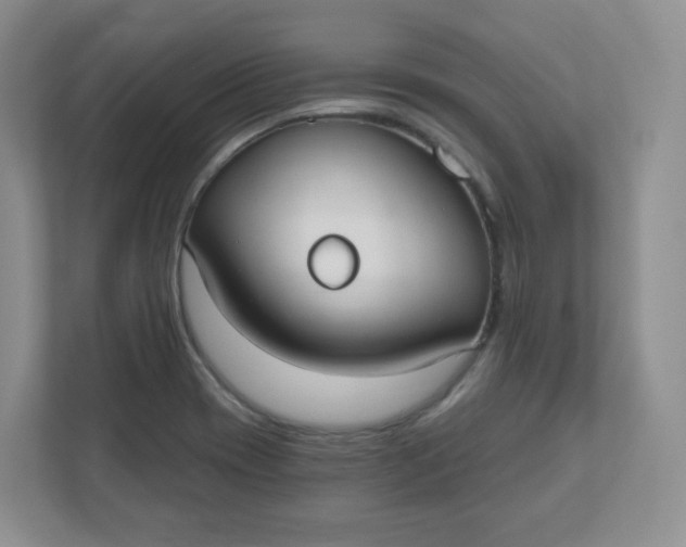 X0000110761417200906291019