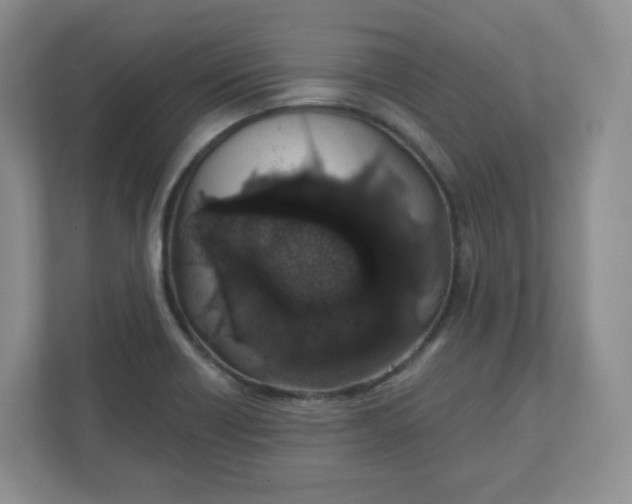 X0000110761418200906291019