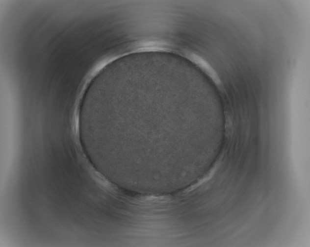 X0000110761419200906291019
