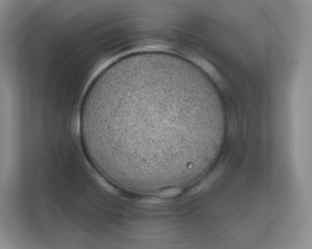 X0000110761420200906291019