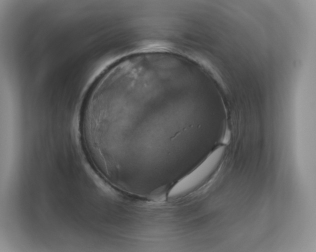 X0000110761422200906291019