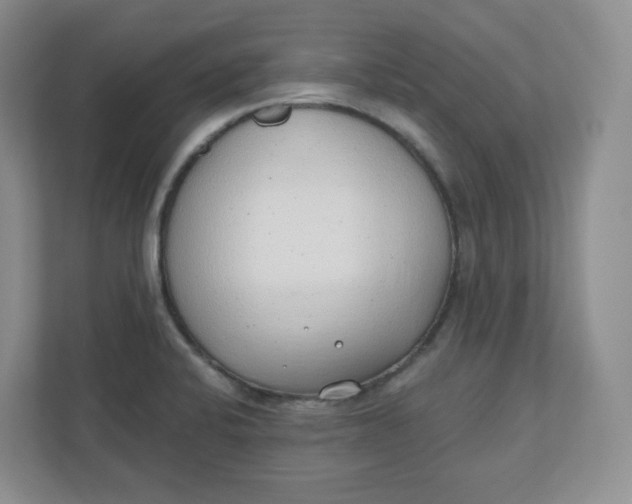 X0000110761424200906291019
