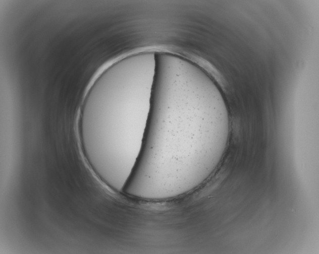 X0000110761428200906291019