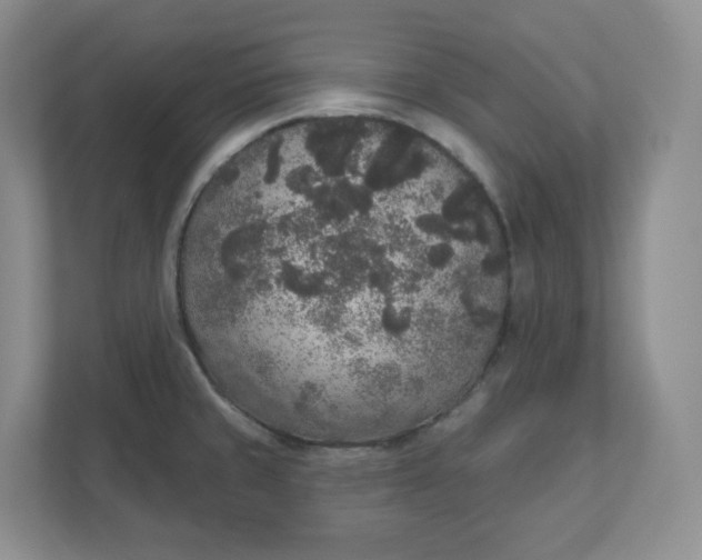 X0000110761429200906291019