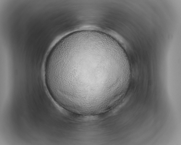 X0000110761430200906291019