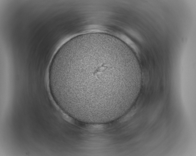 X0000110761431200906291019