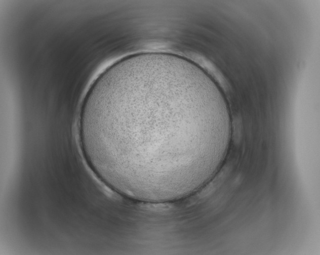 X0000110761432200906291019