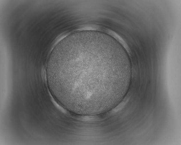 X0000110761433200906291019