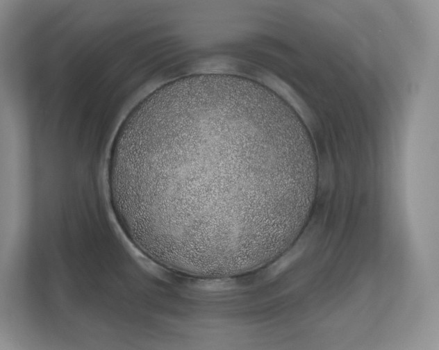 X0000110761434200906291019