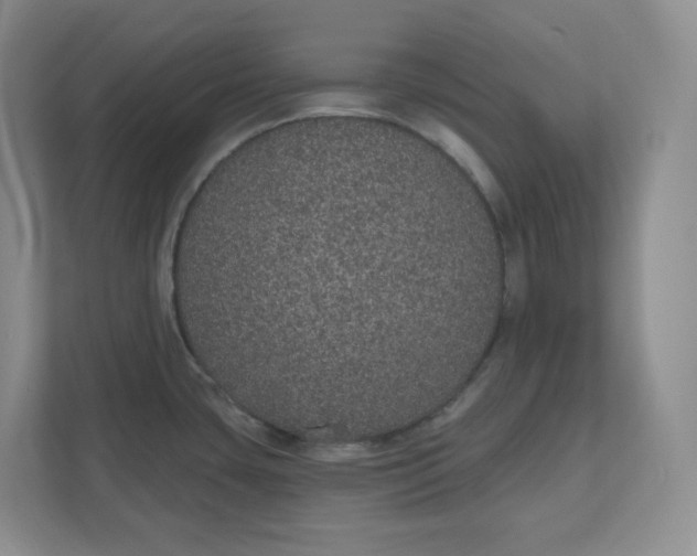X0000110761435200906291019
