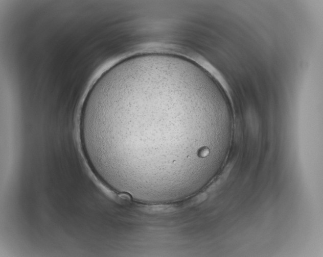 X0000110761437200906291019