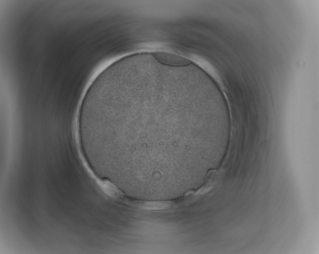 X0000110761440200906291019