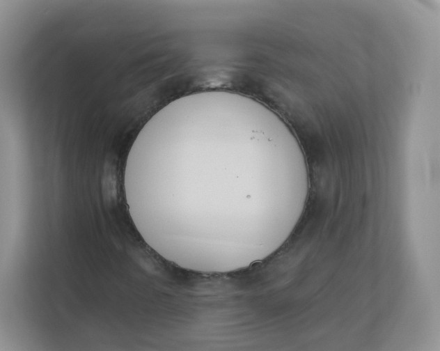 X0000110761442200906291019