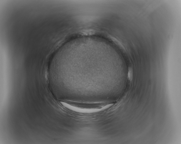 X0000110761444200906291018