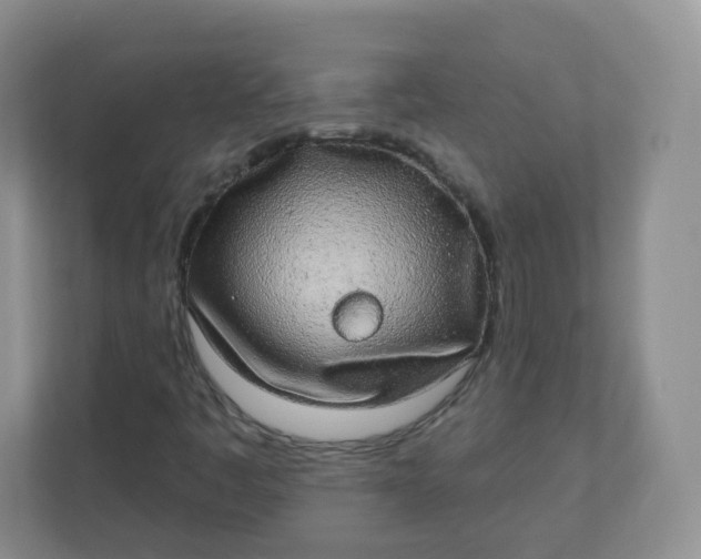 X0000110761445200906291018