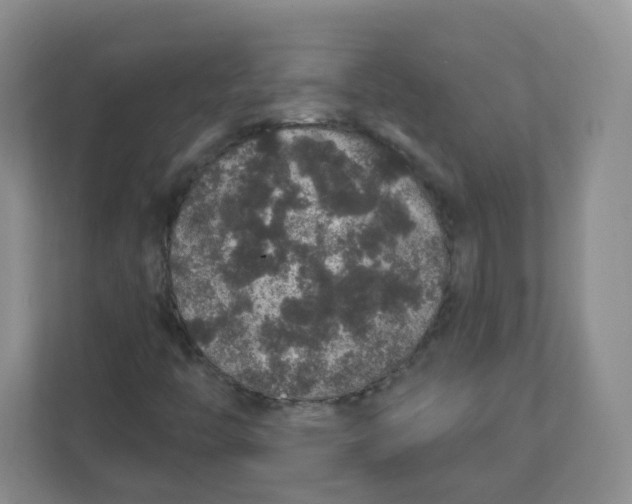 X0000110761446200906291018