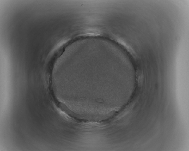 X0000110761448200906291018