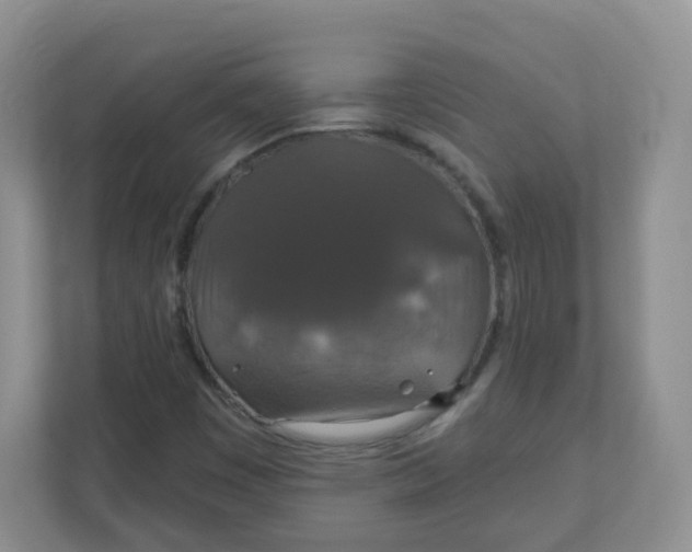 X0000110761449200906291018