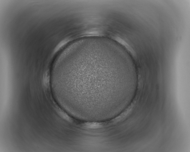 X0000110761450200906291018