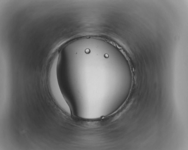 X0000110761453200906291018