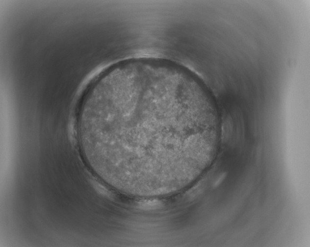 X0000110761454200906291018