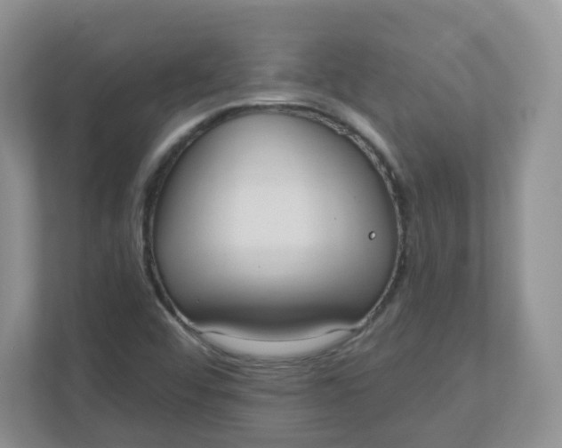 X0000110761456200906291018