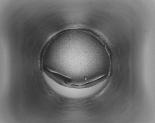 X0000110761457200906291018