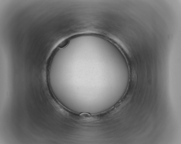 X0000110761460200906291018