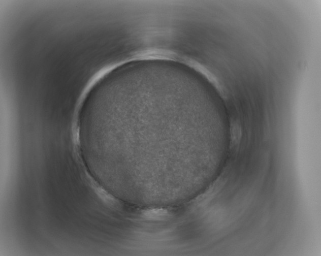 X0000110761462200906291018