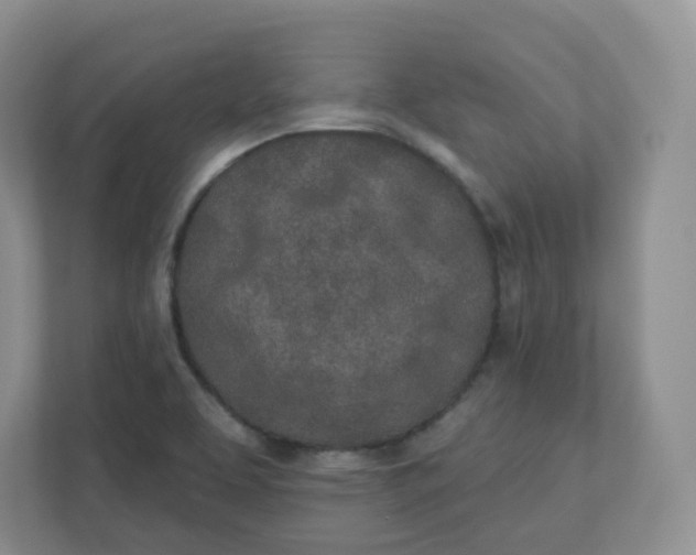 X0000110761463200906291018