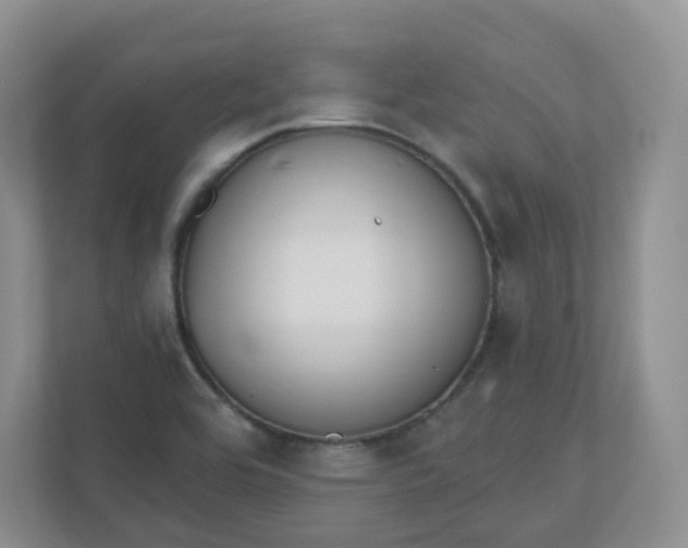 X0000110761464200906291018
