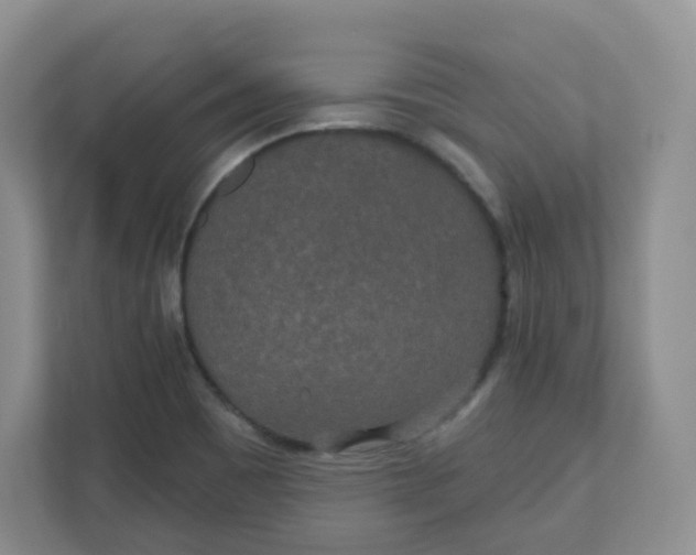X0000110761465200906291018