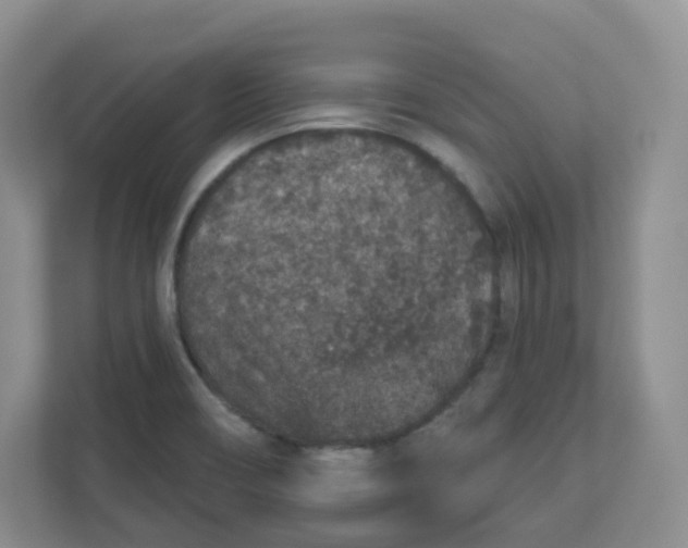 X0000110761466200906291018