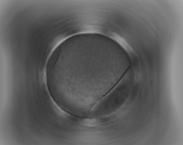 X0000110761468200906291018