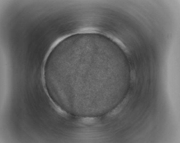 X0000110761470200906291018