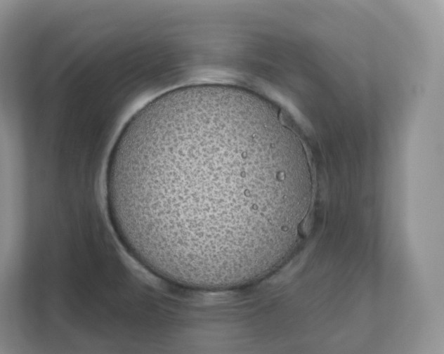 X0000110761471200906291018