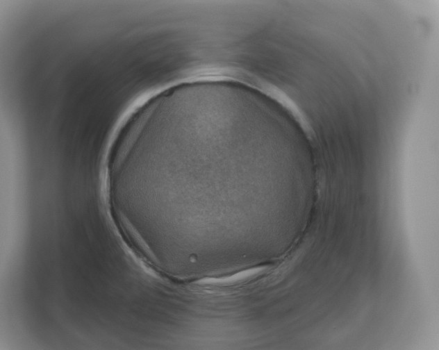 X0000110761472200906291018