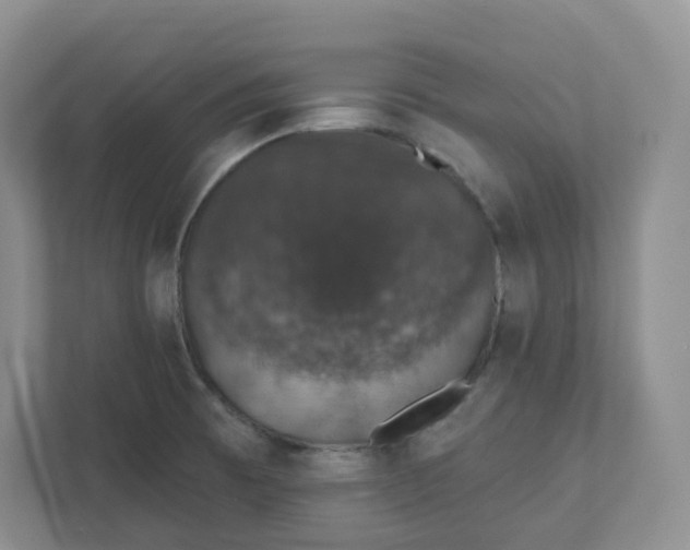 X0000110761473200906291018