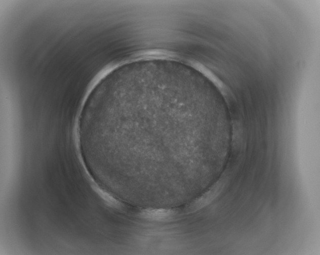 X0000110761474200906291018