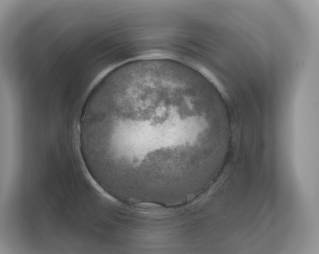 X0000110761476200906291018