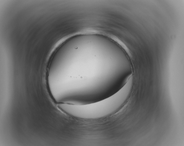 X0000110761477200906291018