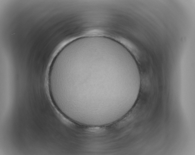 X0000110761478200906291018