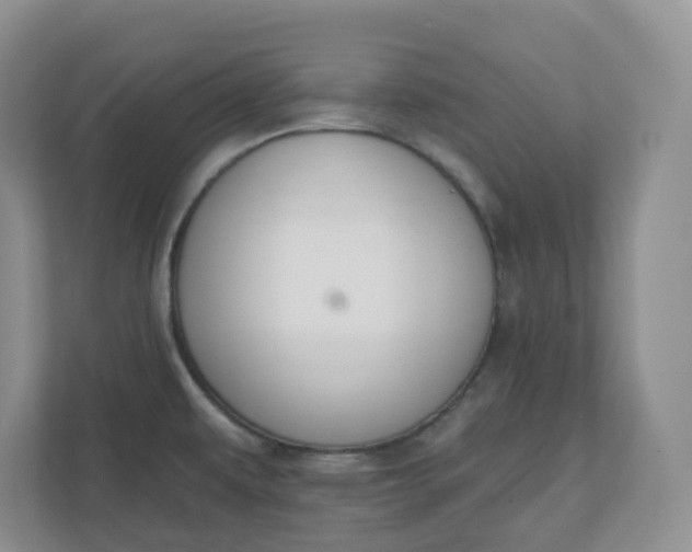 X0000110761479200906291018